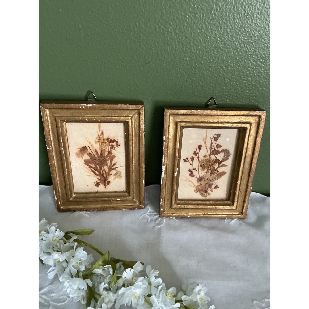 Vintage Pressed Dried Flower Framed Art Set of 2 Gold Ornate Small Wall Decor